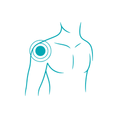Shoulder